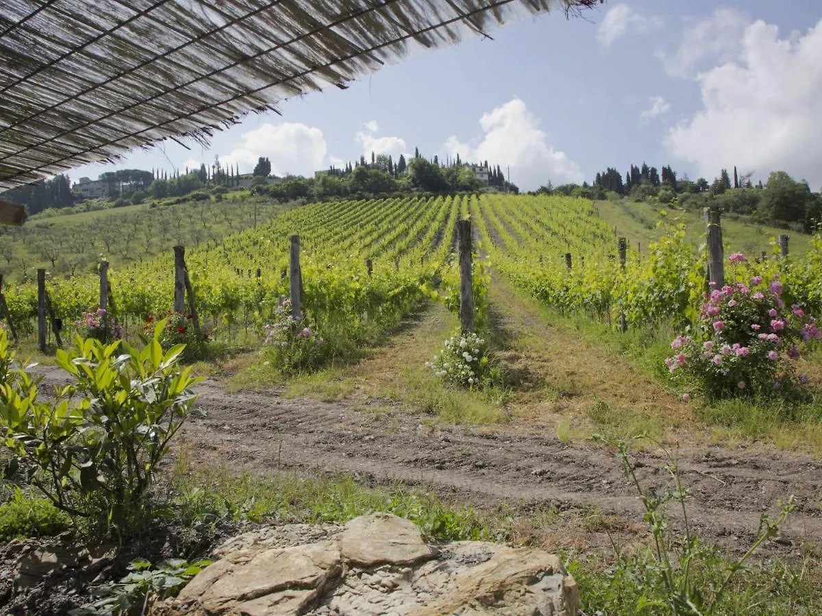 Belvilla By Oyo Villa Ulivo Radda In Chianti Casa vacanze