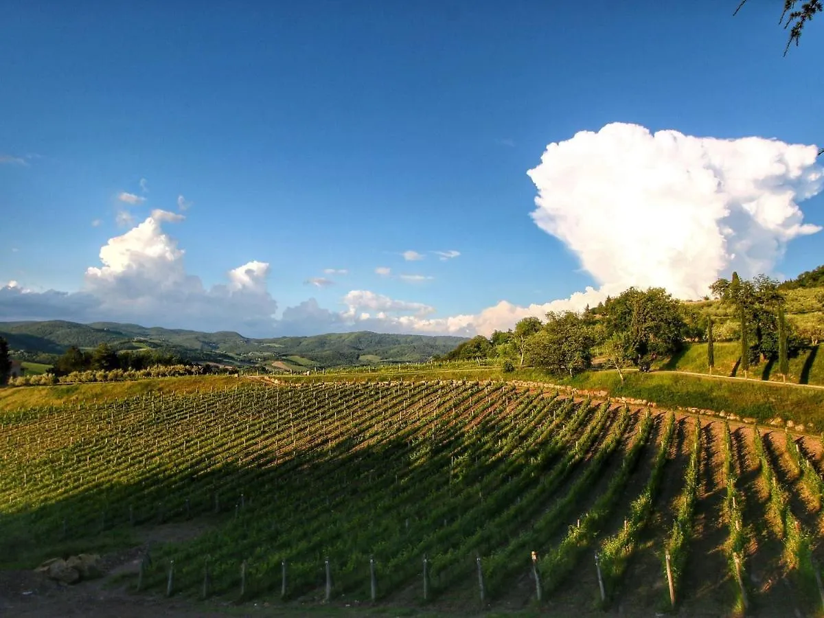Belvilla By Oyo Villa Ulivo Radda In Chianti 0*,  Italia